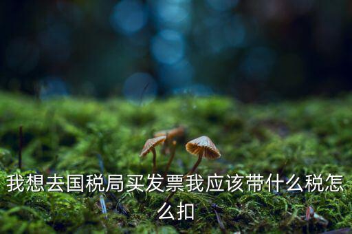 去國(guó)稅局扣稅需帶什么，我想去國(guó)稅局買發(fā)票我應(yīng)該帶什么稅怎么扣