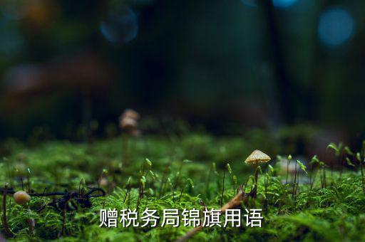 送錦旗給稅局可以寫什么內(nèi)容，贈稅務(wù)局錦旗用語