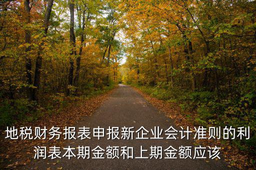 地稅利潤表的上期金額指什么，新會計制度下利潤表中本期金額和上期金額是什么意思