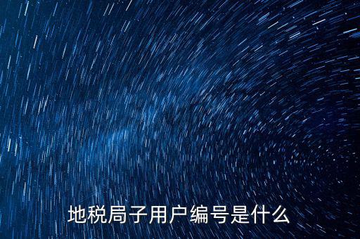 地稅網(wǎng)用戶(hù) 子賬戶(hù)是指什么，地稅的用戶(hù)名是什么