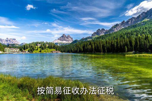 什么是簡易辦法征收，采用簡易辦法征收增值稅到一般納稅人可以按6或4征收增值稅這