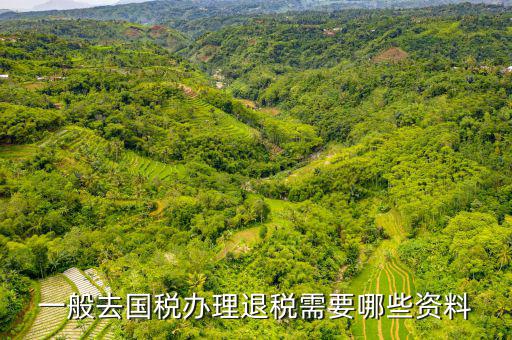 稅務(wù)局退稅要什么手續(xù)，一般去國(guó)稅辦理退稅需要哪些資料