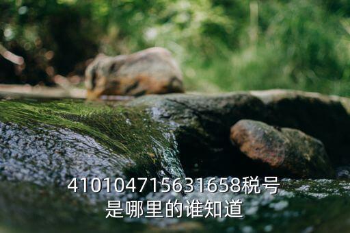 河南省的稅號是什么意思，410104715631658稅號是哪里的誰知道
