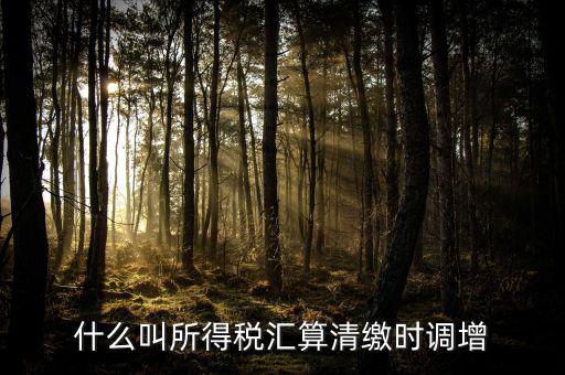 匯算清繳調(diào)增指什么，匯算清繳時(shí)全額調(diào)增利息支出說非業(yè)務(wù)往來占用資金是什么意思