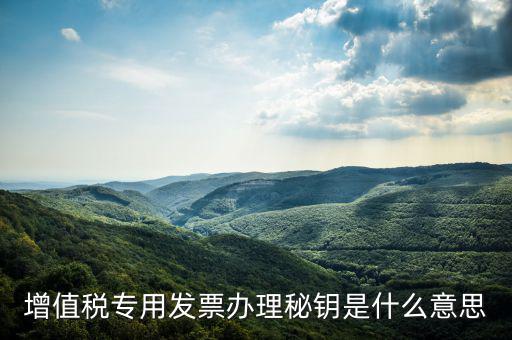 國稅密鑰是什么，增值稅專用發(fā)票辦理秘鑰是什么意思