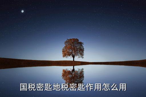 地稅密鑰是干什么的，國(guó)稅密匙地稅密匙作用怎么用
