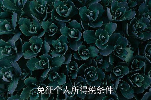 四業(yè)免征個人所得稅有什么要求，個人所得稅減免稅有哪些要求