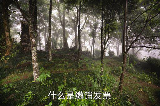 發(fā)票繳銷是指什么，什么是繳銷發(fā)票