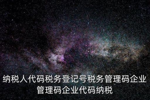 納稅人管理代碼是什么，納稅人代碼稅務(wù)登記號(hào)稅務(wù)管理碼企業(yè)管理碼企業(yè)代碼納稅