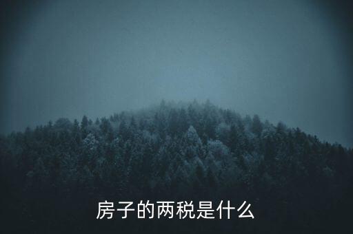 兩稅清查是指什么，房子的兩稅是什么