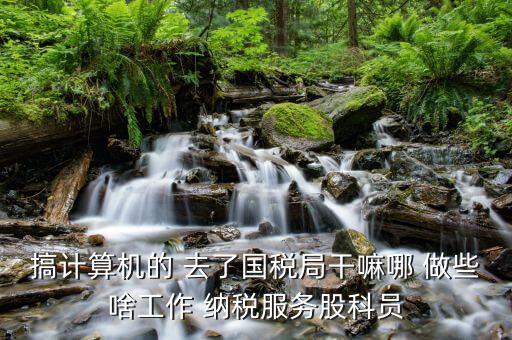 自動化進國稅局做什么，國稅是做什么工作的
