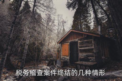 什么是稽查結案，稅務稽查案件終結的幾種情形