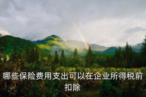 什么保險可以稅前扣除，哪些保險費用支出可以在企業(yè)所得稅前扣除