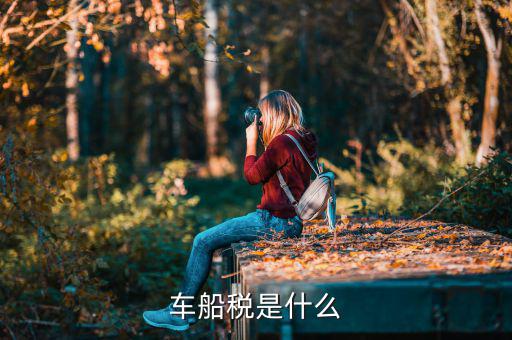 車船稅和什么有關(guān)，什么是車船稅