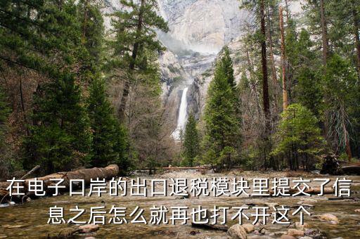 為什么退稅平臺(tái)進(jìn)不去，在電子口岸的出口退稅模塊里提交了信息之后怎么就再也打不開(kāi)這個(gè)