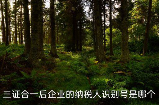 三證合一的納稅人識別號是什么，三證合一后企業(yè)的納稅人識別號是哪個
