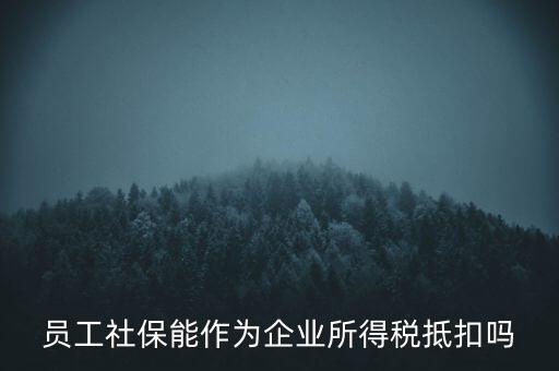 企業(yè)社?？梢缘质裁炊悾瑔T工社保能作為企業(yè)所得稅抵扣嗎