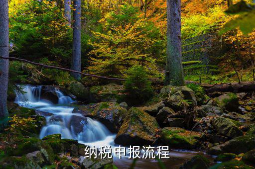 納稅申報流程