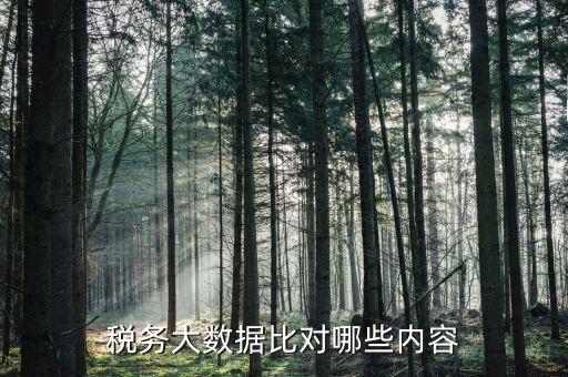 大數(shù)據(jù)稅務局需要過濾什么數(shù)據(jù)，稅務大數(shù)據(jù)是什么意思