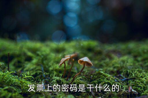 湖南汽車發(fā)票密碼是什么意思，發(fā)票上的密碼是做什么用的啊