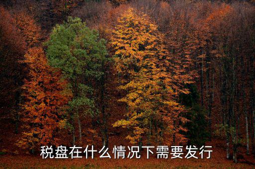 稅控盤(pán)變更發(fā)行是什么意思，更換稅控盤(pán)需要什么