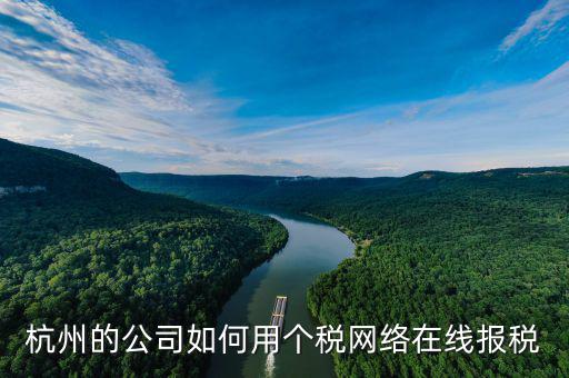 報(bào)個(gè)稅的小人是什么軟件，杭州的公司如何用個(gè)稅網(wǎng)絡(luò)在線報(bào)稅