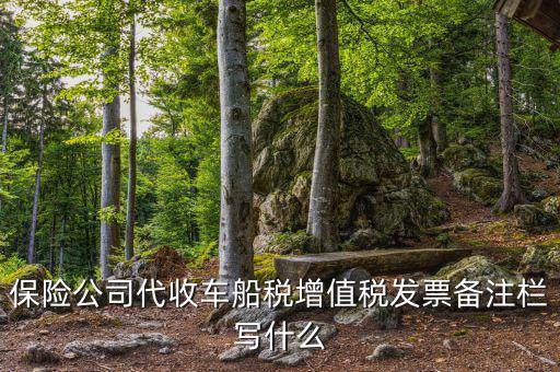 保險(xiǎn)公司代開車船稅備注注什么，請問一下發(fā)票備注欄能夠?qū)懯裁?/></a></span><span id=