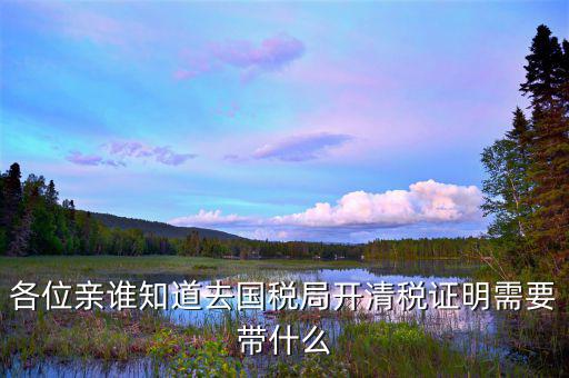 各位親誰(shuí)知道去國(guó)稅局開(kāi)清稅證明需要帶什么