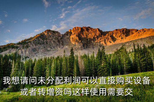 未分配利潤交什么稅，我想請問未分配利潤可以直接購買設備或者轉增資嗎這樣使用需要交