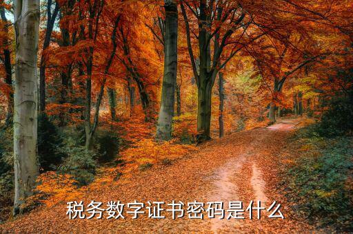 煙臺(tái)國(guó)稅證書密碼是什么，登錄國(guó)稅網(wǎng)上辦稅服務(wù)廳的用戶名和密碼是什么