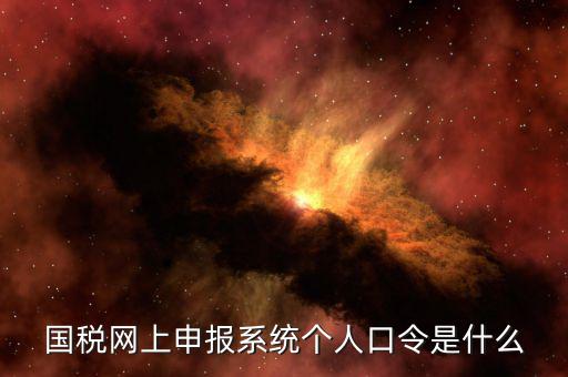 國稅證書口令是什么意思，網(wǎng)上申報國稅系統(tǒng)登陸的口令是什么