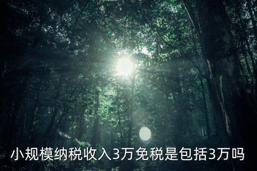 3萬免稅是指什么，小規(guī)模納稅收入3萬免稅是包括3萬嗎