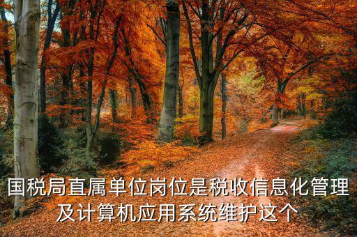 稅收信息化崗位做什么，信息化在稅務(wù)管理中有什么作用