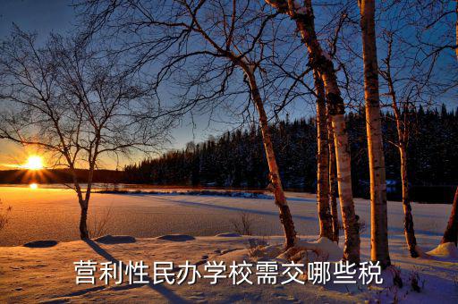 學(xué)校要交什么稅，營利性民辦學(xué)校需交哪些稅