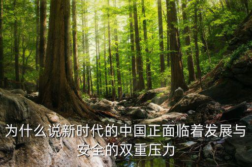 中國(guó)的雙重負(fù)擔(dān)是什么，為什么說新時(shí)代的中國(guó)正面臨著發(fā)展與安全的雙重壓力