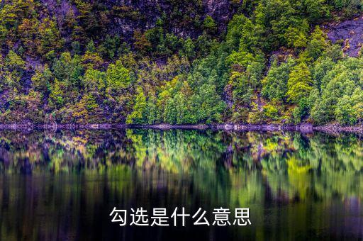 發(fā)票勾選是什么意思，勾選是什么意思
