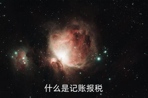 報稅記錄是指什么，報稅是什么意思 報稅的含義
