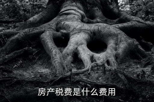 什么是房土兩稅，什么是城鎮(zhèn)土地使用稅