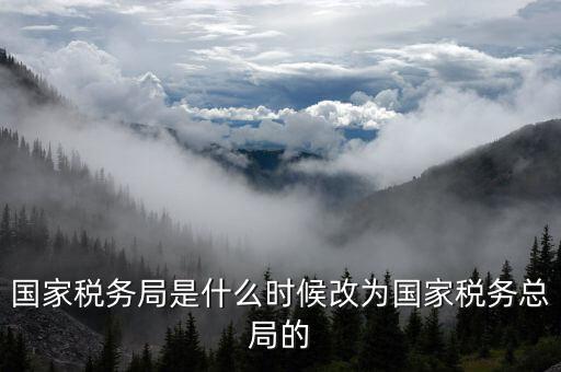 稅務(wù)機(jī)構(gòu)改革是什么，稅收征管體制改革內(nèi)容