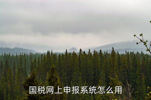 國稅網(wǎng)絡(luò)預(yù)申請系統(tǒng)是什么，怎么安裝國稅網(wǎng)上申報系統(tǒng)