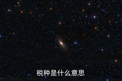 維護稅種什么意思，稅總維護是什么意思
