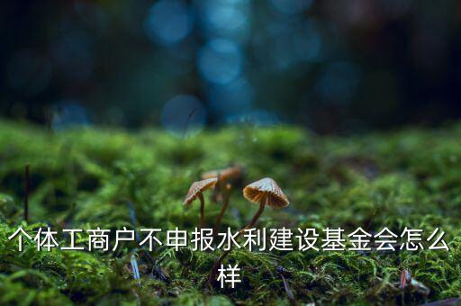 水利基金不報有什么后果，水利建設基金計稅當月沒報有影響嗎