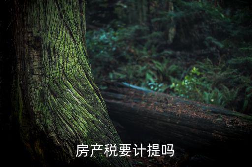 房產(chǎn)稅列入什么費(fèi)用，房產(chǎn)稅要計(jì)提嗎