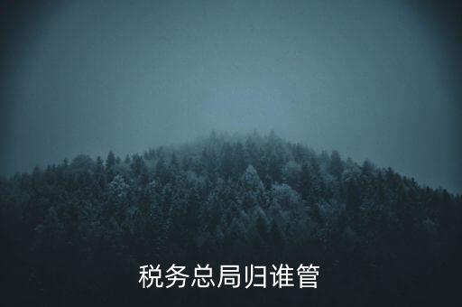 什么部門(mén)監(jiān)管?chē)?guó)稅務(wù)局，稅務(wù)局最怕什么部門(mén)