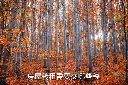 轉(zhuǎn)租房屋需要交什么稅，房屋轉(zhuǎn)租需要交哪些稅