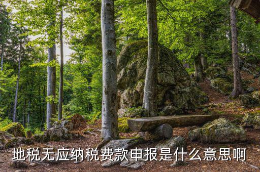 地稅無稅申報(bào)包括什么，地稅申報(bào)表無稅申報(bào)是什么意思我這個(gè)月要0申報(bào)是點(diǎn)擊