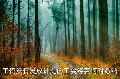 工會(huì)經(jīng)費(fèi)什么時(shí)候開(kāi)始繳納，印花稅工會(huì)經(jīng)費(fèi)一般什么時(shí)候繳納