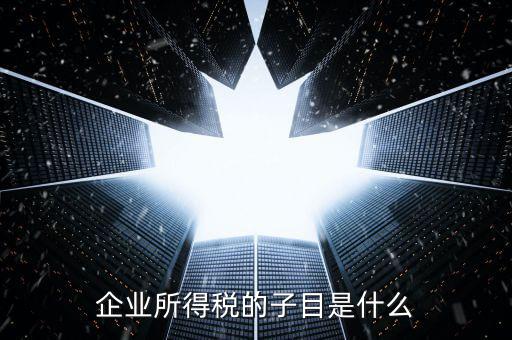 企業(yè)所得稅征收品目是什么，征收品目是什么