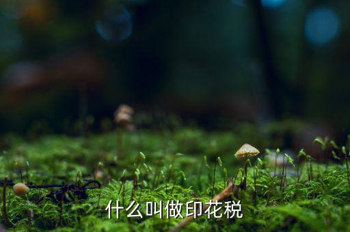 銀行印花稅是什么，什么叫做印花稅