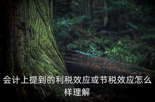 節(jié)稅效應(yīng)是節(jié)的什么稅，什么是節(jié)稅額